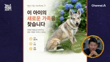 생닭 먹는 비주얼은 살벌해도 유난히 온순한 '제니'