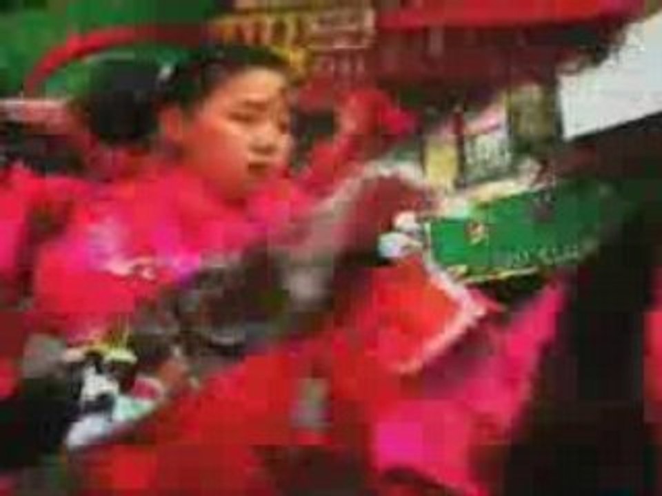 Year of the Fish movie trailer