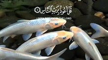 48c4e19001aa2a53ecce1b31003b23db_720w