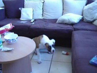 malone 3mois et demi boulam