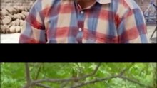 BN SHARMA Best Comedy scenes | Best Punjabi Scene | Punjabi Comedy Clip | Non Stop Comedy  Enjoy and laugh with Funny Punjabi comedy scenes from movie   Vadhaiyan Ji Vadhaiyan , Best of Binnu Dhillon , Kavita Kaushik, Ja