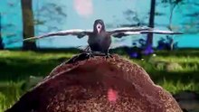 Why Crows Bathe In Ants