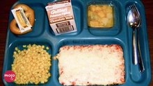Top 10 Foods That DEFINED School Lunch