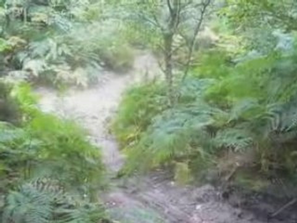 Ride - anthony thom et roro - au chateau de la chasse