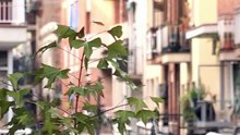 União Europeia impõe limites aos alojamentos tipo Airbnb para reforçar arrendamento de longa duração