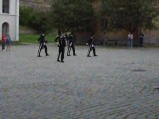 Les beau soldats norvégiens en pleine démonstration