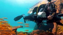 SÉRIE OLHAR SUBMERSO - NAUFRÁGIOS DE PERNAMBUCO - EP 01   NORONHA.