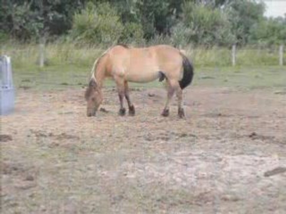 Vacance Henson Balade