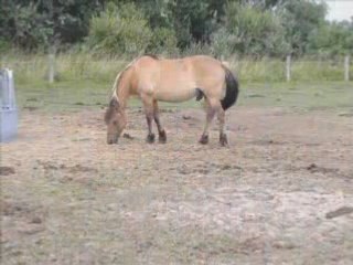 Vacance Henson Balade