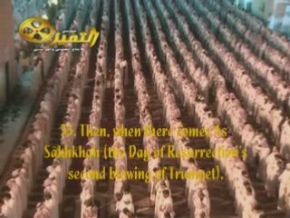 naser Al QitAmy  abas