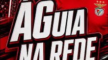 Águia na Rede Moreirense 0-4 Benfica