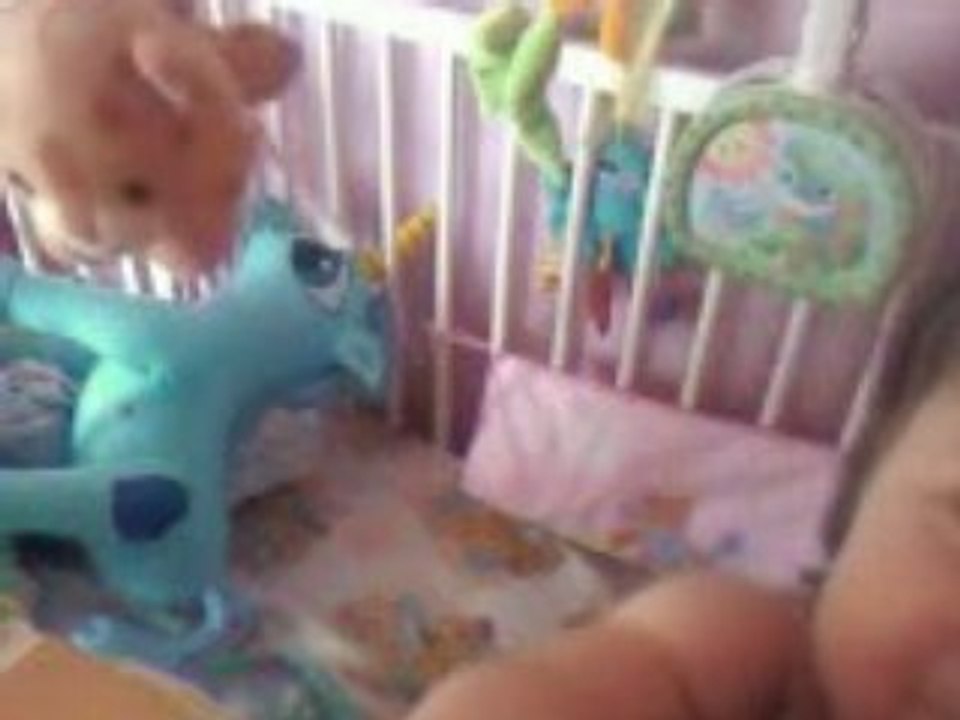 Vidéo0042