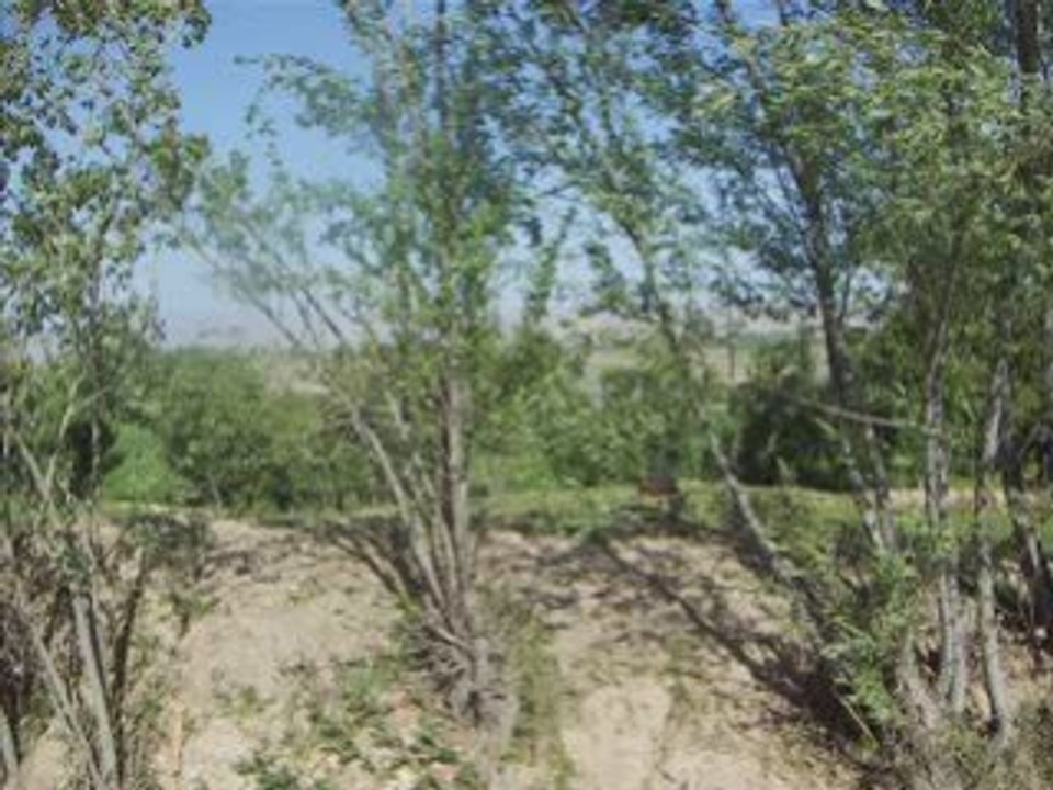 Bienvenue à Herat, Afghanistan