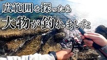 【穴釣り】広範囲を探ると大物が反応！エギングロッドでカサゴ狙いの穴釣り
