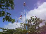 Voladores