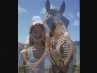 île de ré 2oo8 première partie