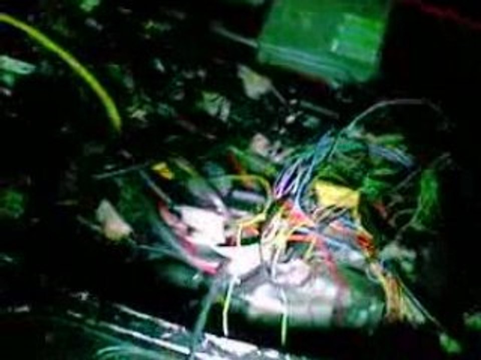 29072008(001)