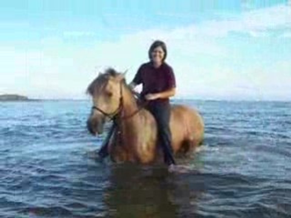 Dans l'eau