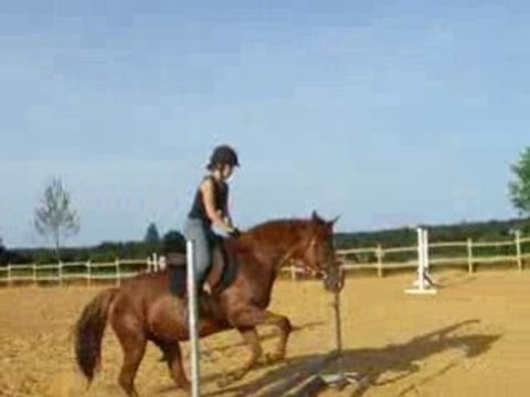 Saut Queen trot