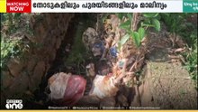 തോടുകളിലും പുരയിടങ്ങളിലും മാലിന്യം; പ്രതിസന്ധിയിലായി കർഷകർ