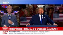 Donald Trump promet 5.000 dollars si son parti garde le contrôle du Congrès après les élections de mi-mandat