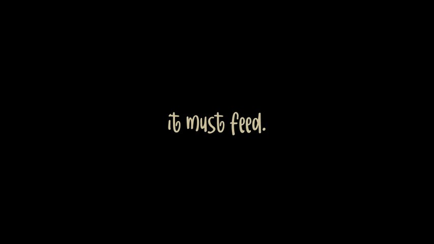 In Full Bloom - Release Date Trailer
