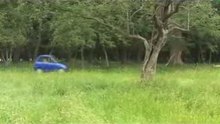 STEVE IRWIN DISCOVERS THE REVA ELECTRIC WILD CAR