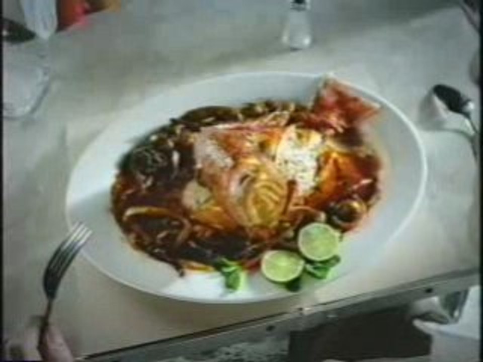 Animal Makers Promotional Video