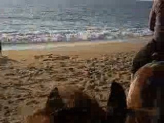 promenade a cheval sur la plage