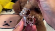 Dog Fur Storage Keychain – Keep a Piece of Your Best Friend With You