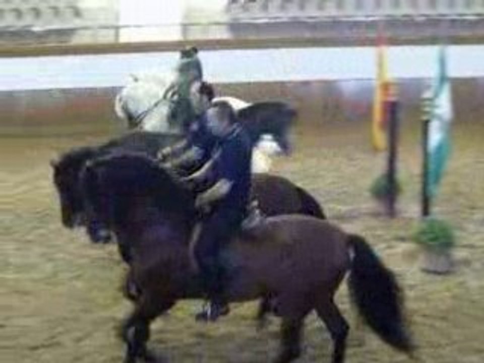 Entrainements FREAAE