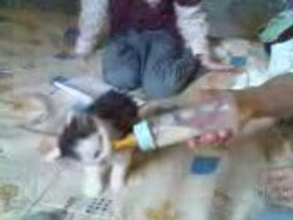 Vidéo012