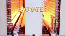 840mm 400v 2500w SK15 half white coated halogen bulbs shortwave heat lamp for Injection Blow Molding Machine