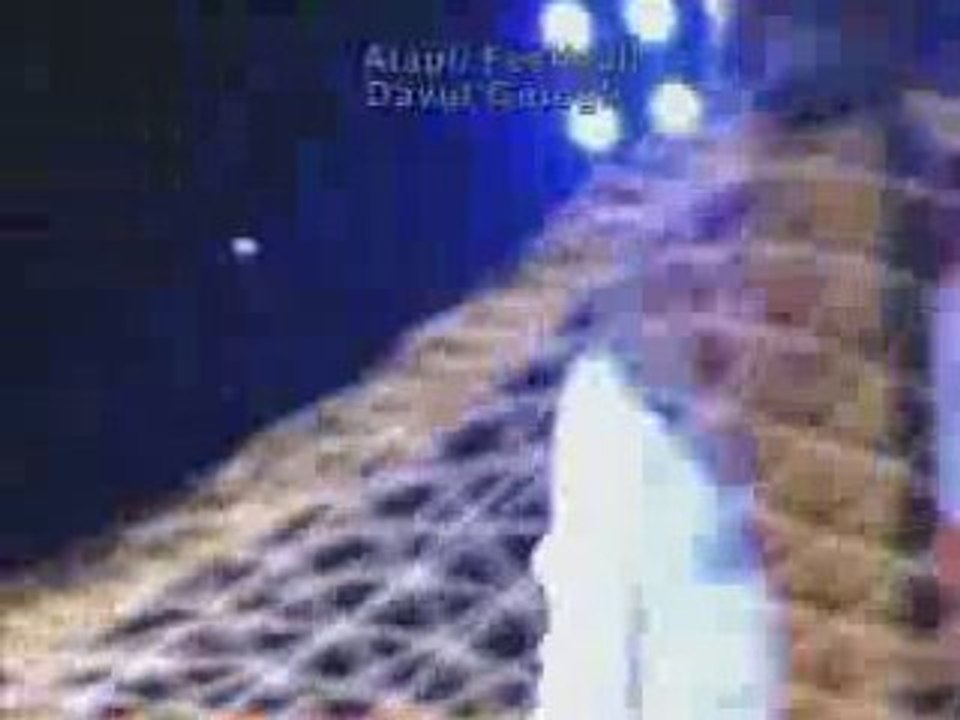 Davut Güloğu Alaplı Festivali