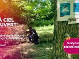 Agenda des Sorties du 11 au 13 septembre 2026