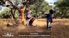 Από τα πώματα μπουκαλιών έως τους πυραύλους: Πώς η Πορτογαλία επανεφευρίσκει τον φελλό