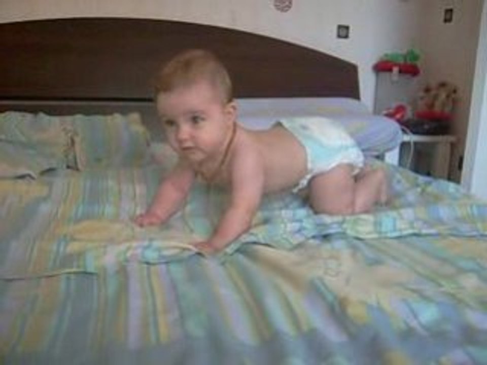 marion quatre pattes