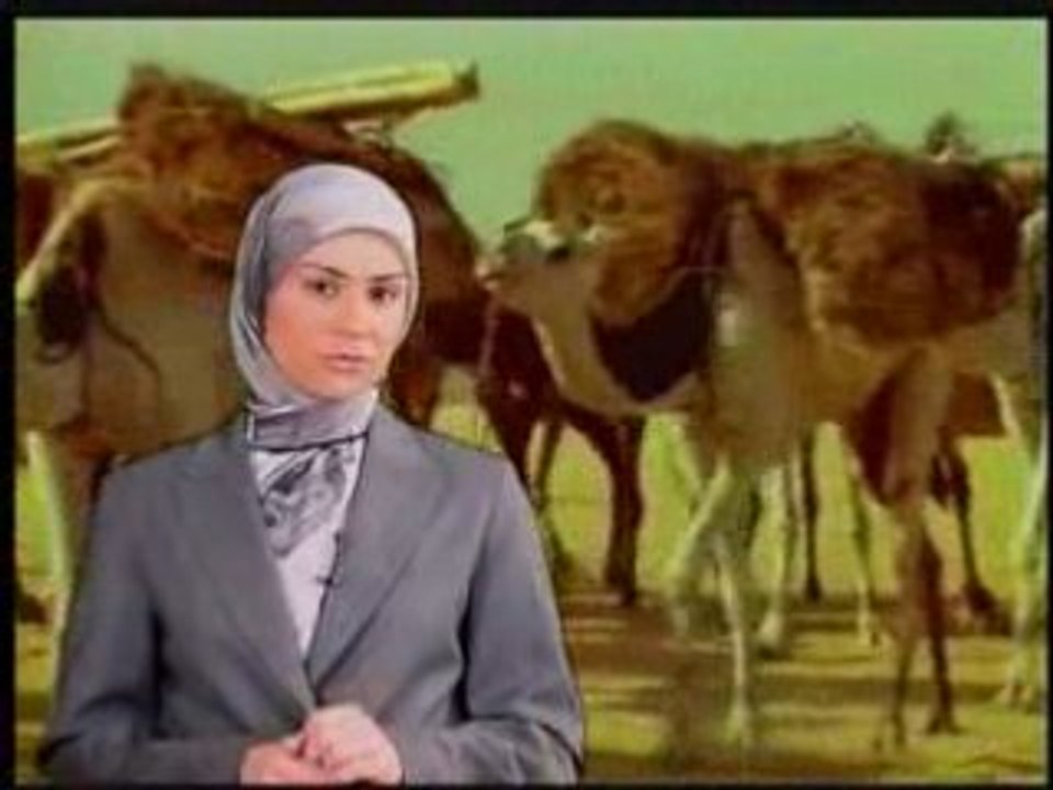 DAS WUNDER DES KAMELS