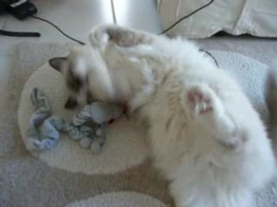 J'adore les jouets suisses