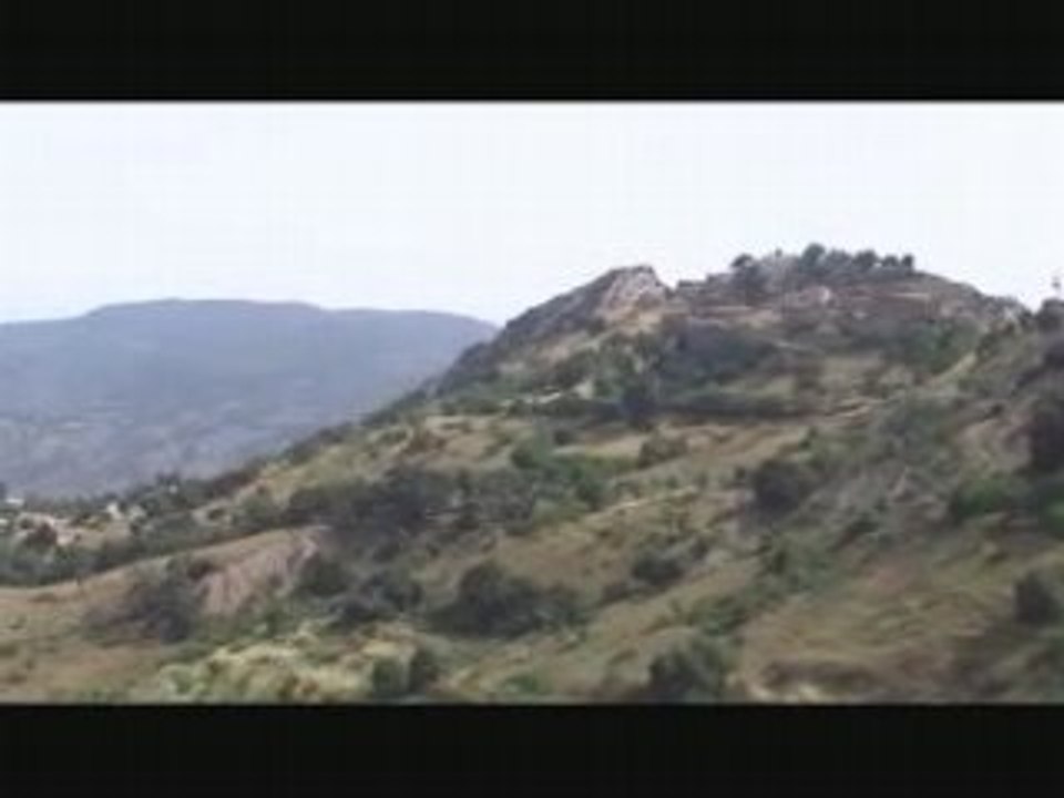 video bled