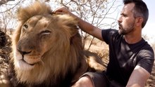 Kevin Richardson’s 2025 Lion Whisperer Review | Lions, Poaching and Bongani Farewell