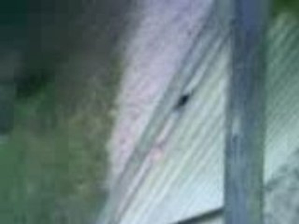 MOV00629