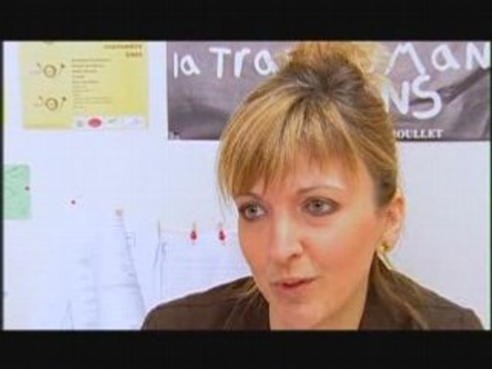 Journal de l'Emploi : Insertion Developpement Emploi