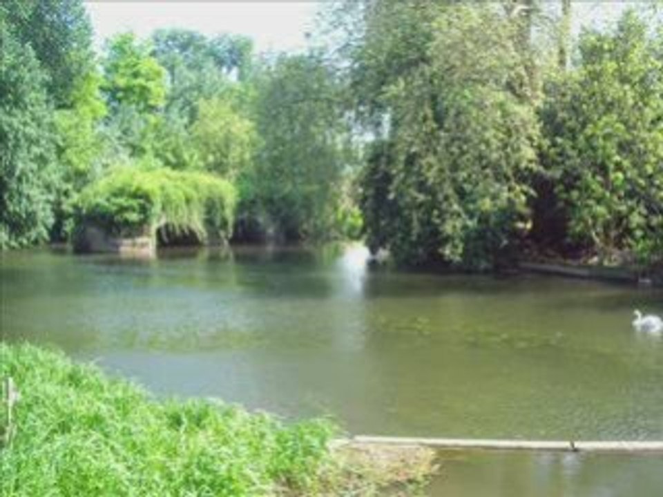 Voyage en Angleterre
