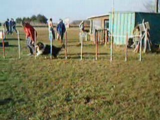 Agility