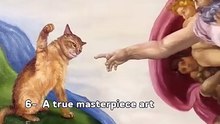 Best catslaps