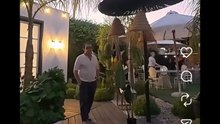 Gli scherzi della pianta finta
