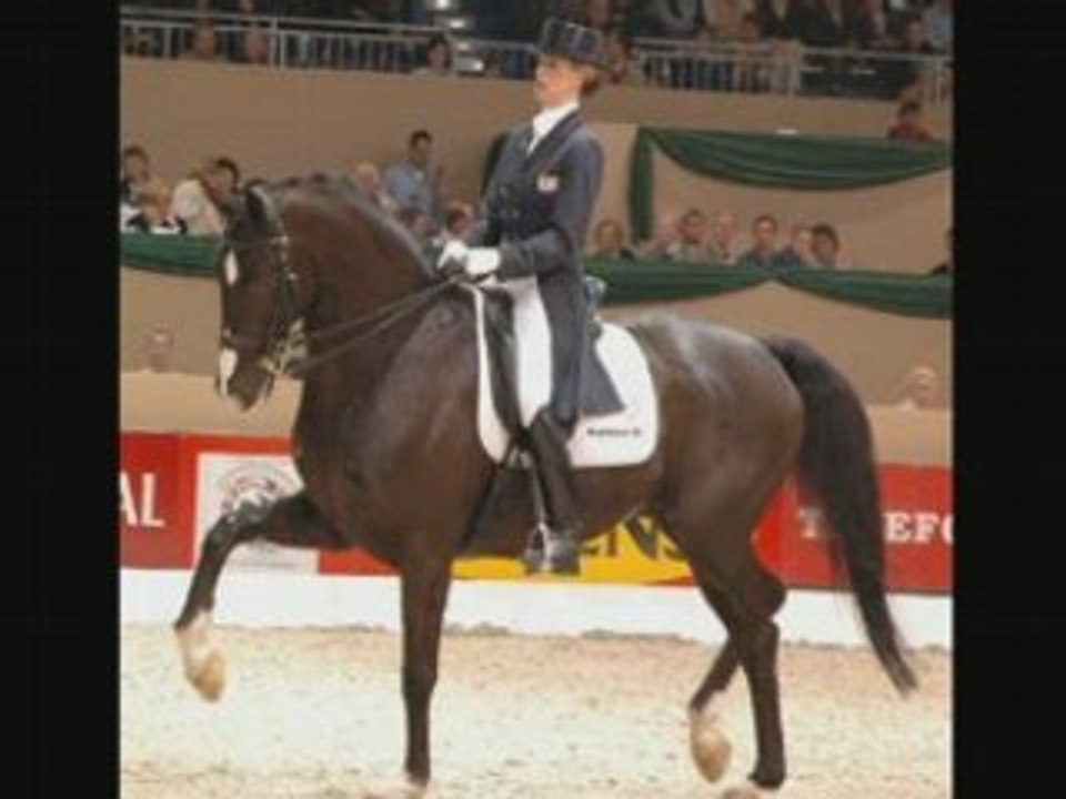 le dressage