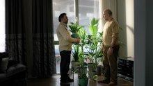 Un po' di luce (Trailer Ufficiale HD)