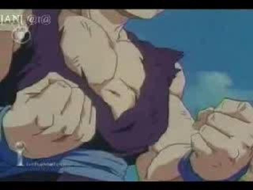 DBZ - Wait and bleed